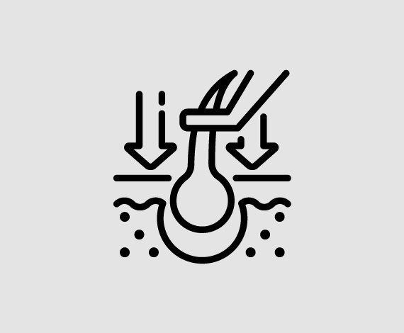 4. Extraction